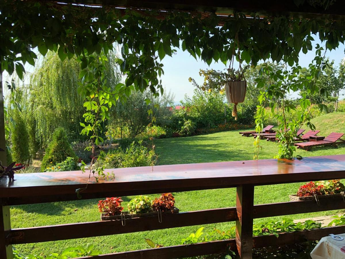 Casa De Vacanta Potoc Εξωτερικό φωτογραφία